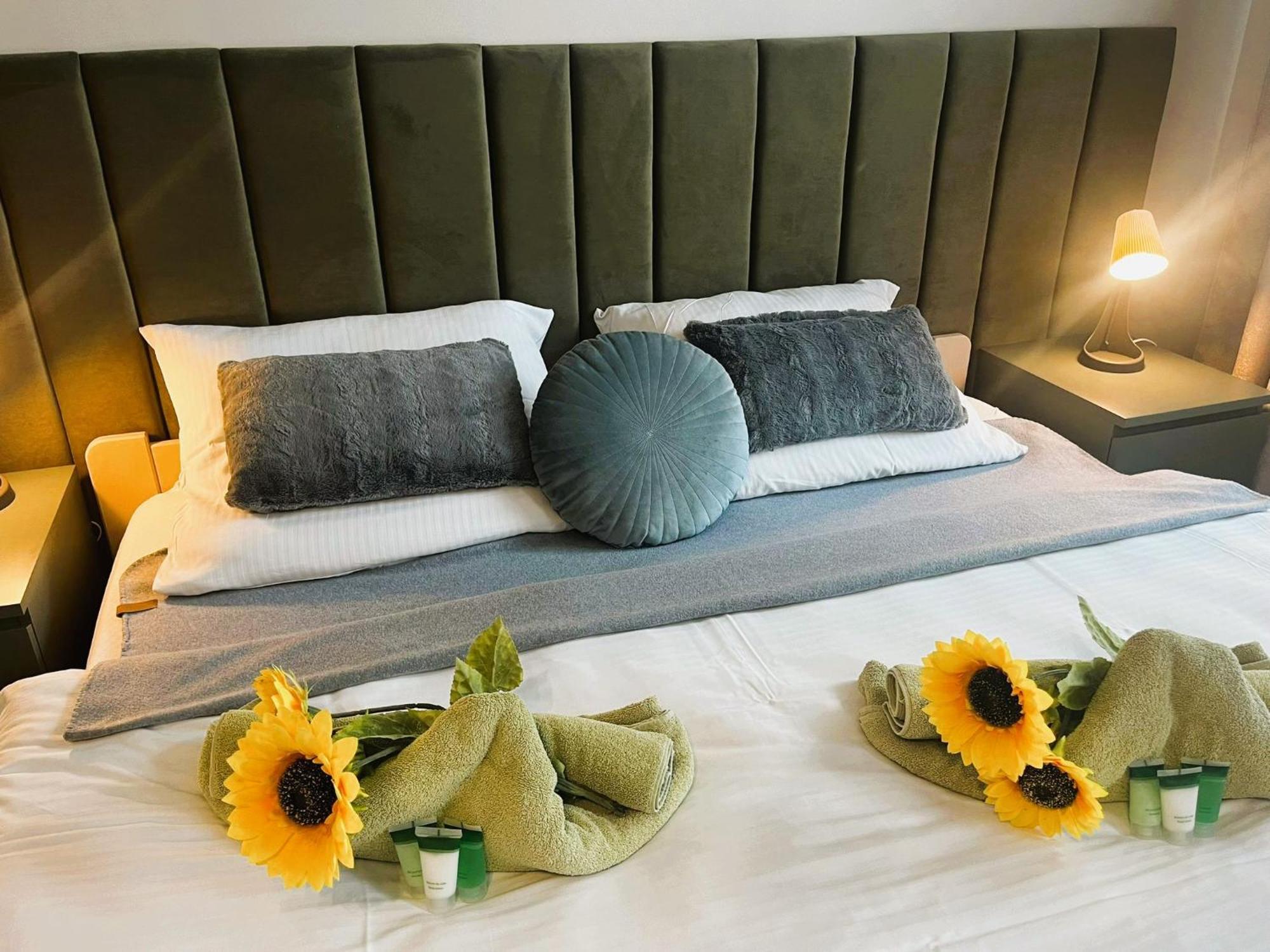 Villa Sunny Rose Bed & Breakfast 斯维诺乌伊希切 外观 照片
