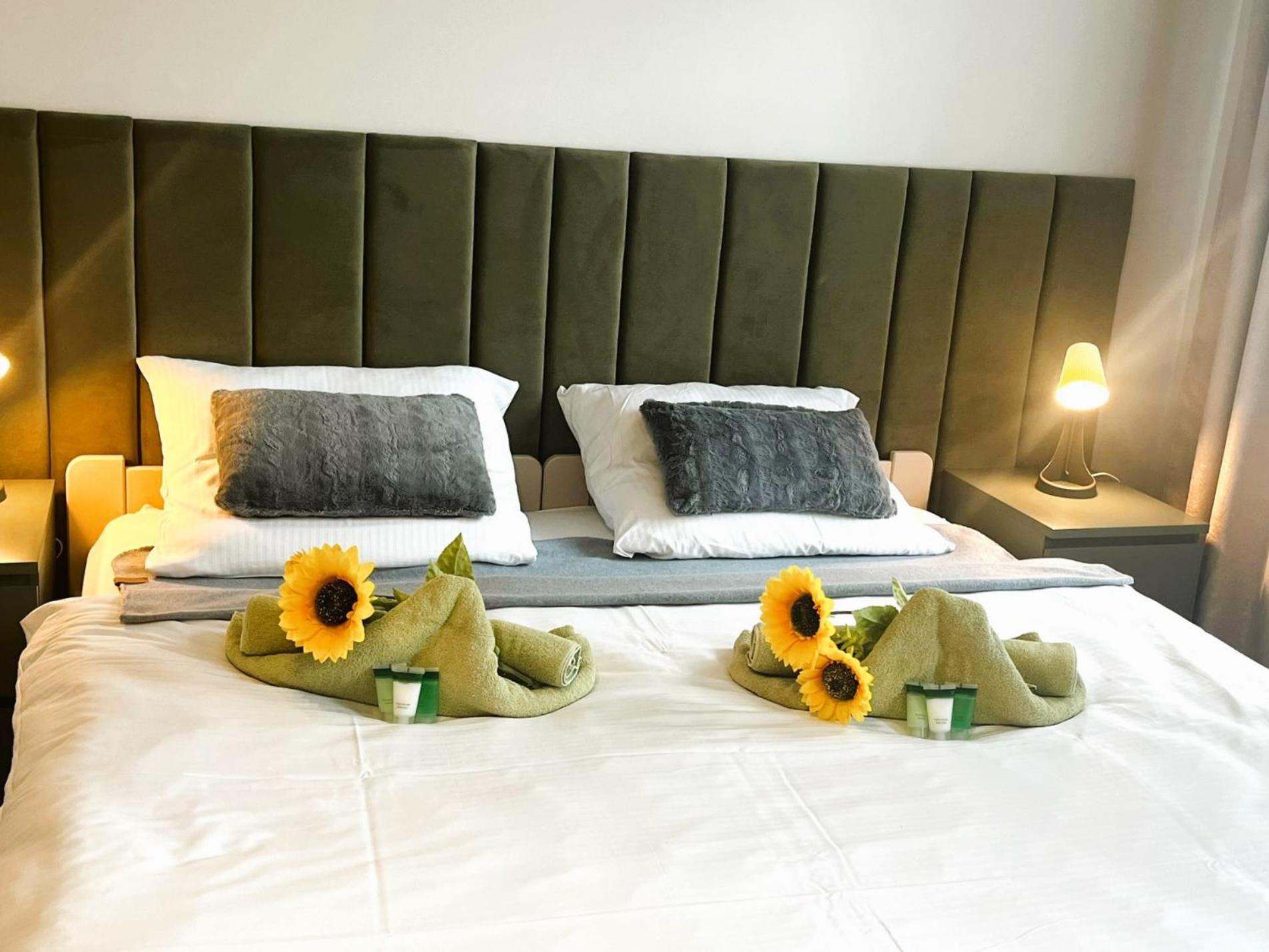 Villa Sunny Rose Bed & Breakfast 斯维诺乌伊希切 外观 照片